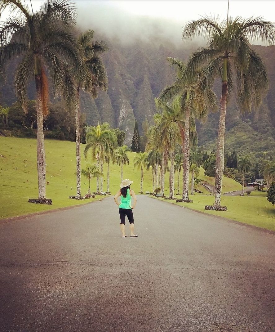 one person, full length, tree, rear view, plant, mountain, real people, leisure activity, lifestyles, day, beauty in nature, nature, women, casual clothing, road, transportation, the way forward, grass, walking, outdoors