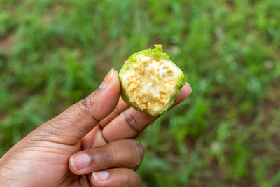 Close-up of hand holding apple