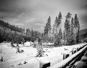 View of ski lift in snow