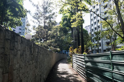 Footpath amidst trees and buildings in city
