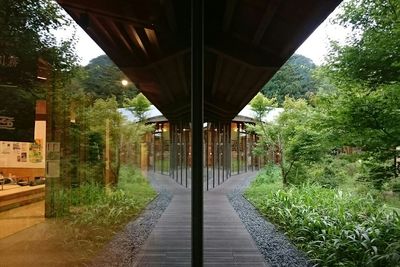 Walkway leading to building