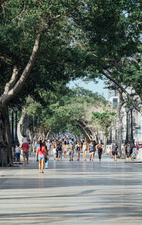 People walking on road in city