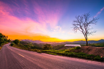 Road by trees against orange sky