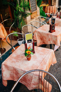 Close-up of potted plant on table