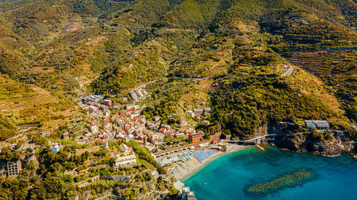 High angle view of river amidst trees