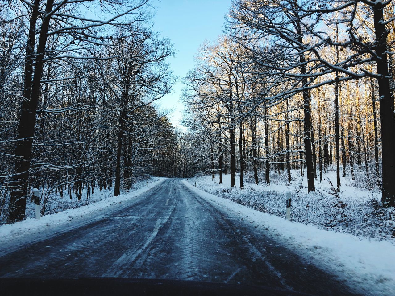 ROAD AMIDST BARE TREES IN WINTER