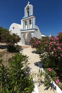 Flowering plants by building against clear sky