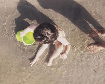 High angle view of dog on beach