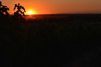 Scenic view of silhouette field against sky during sunset