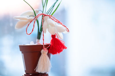 Close-up of flowers on table