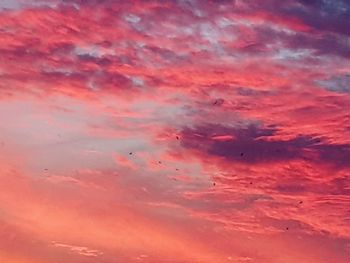 Low angle view of dramatic sky during sunset