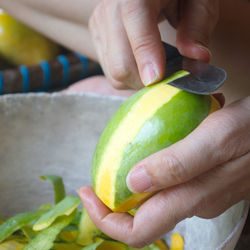 Cropped hand of person holding watermelon