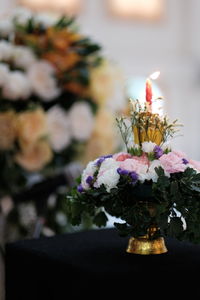 Close-up of flowering plant in vase