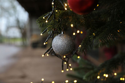 Close-up of christmas decoration hanging on tree