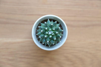 High angle view of salad in bowl on table