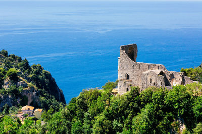 Plants growing in front of building