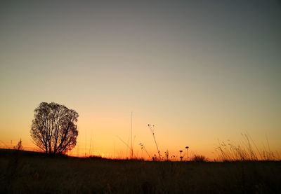 Silhouette trees on field against clear sky during sunset