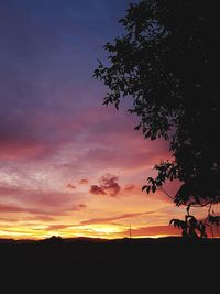 Silhouette tree on field against sky at sunset