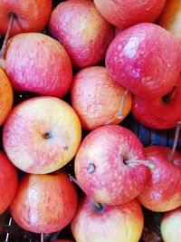 Full frame shot of apples for sale at market stall