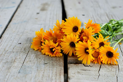 High angle view of yellow flower on table