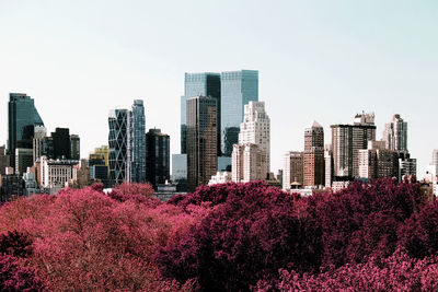 Rare view of nyc skyline from central park in color infrared