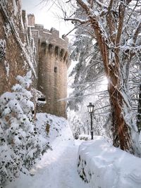 Snow covered trees by building