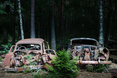 Abandoned car against trees