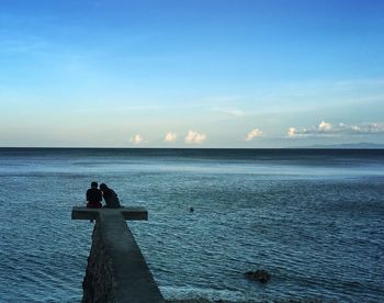 Rear view of man sitting on shore against sea