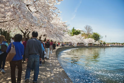 People on water by trees against sky