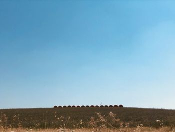 Scenic view of field against clear blue sky