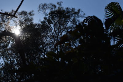 Low angle view of trees against sky