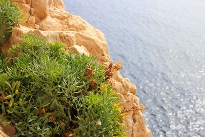 High angle view of rocks by sea