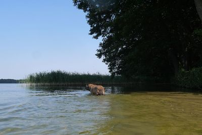 View of a lake