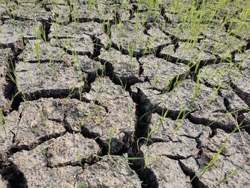 Full frame shot of rocks