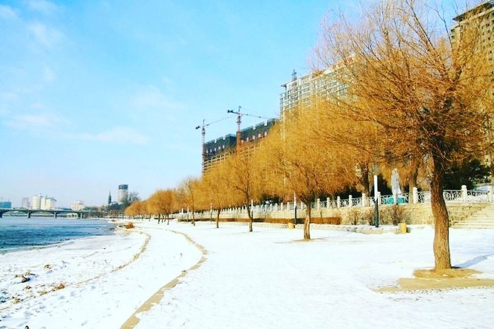 SCENIC VIEW OF SNOW COVERED LANDSCAPE