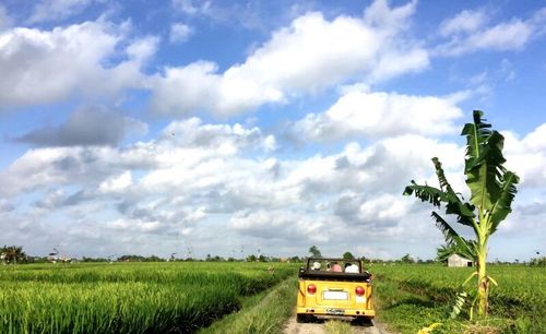 Scenic view of landscape against clear sky