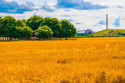 Scenic view of field against cloudy sky