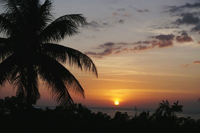 Silhouette palm trees against sky during sunset