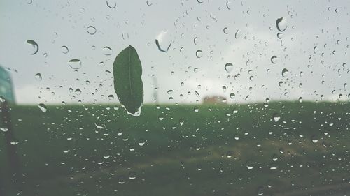 Close-up of water drops on glass