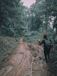 Rear view of people walking on land in forest