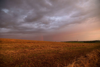 Scenic view of field against sky during sunset