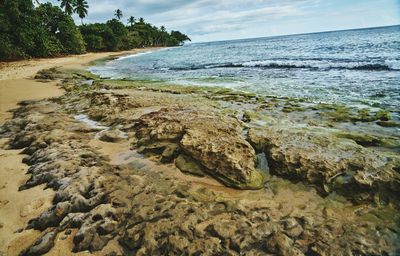 Scenic view of beach against sky