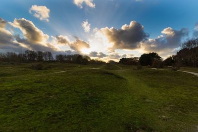 Scenic view of field against sky