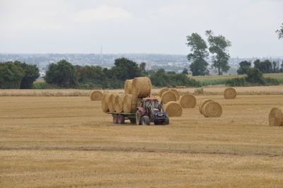 Hay bales on field against sky