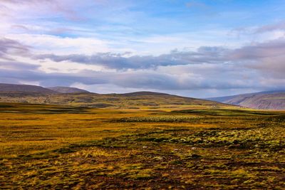 Scenic view of landscape against sky