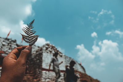 Close-up of hand holding leaves against blue sky
