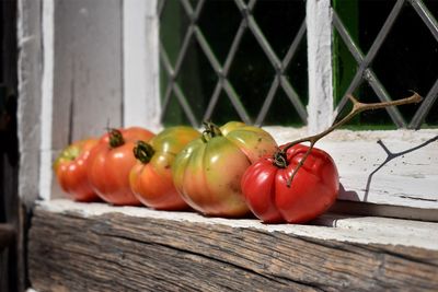 Close-up of tomatoes on wooden wall maturing in the sun