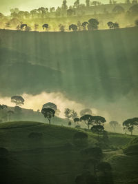 Digital composite image of trees on field against sky