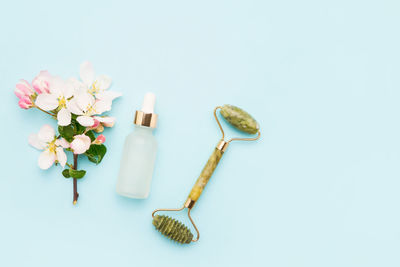 High angle view of flowering plant against white background