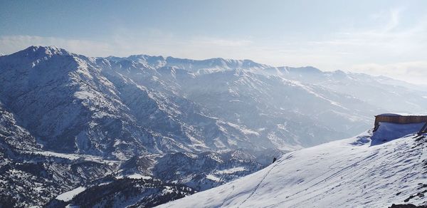 Tashkent, amrsoy